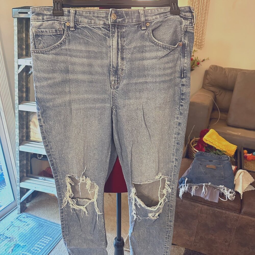 AE Mom Jeans